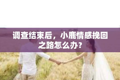 调查结束后，小鹿情感挽回之路怎么办？