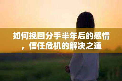 如何挽回分手半年后的感情，信任危机的解决之道