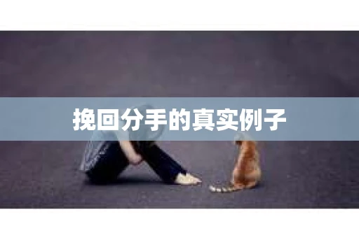 挽回分手的真实例子