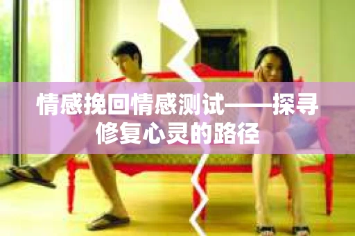 情感挽回情感测试——探寻修复心灵的路径