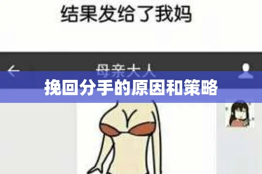 挽回分手的原因和策略