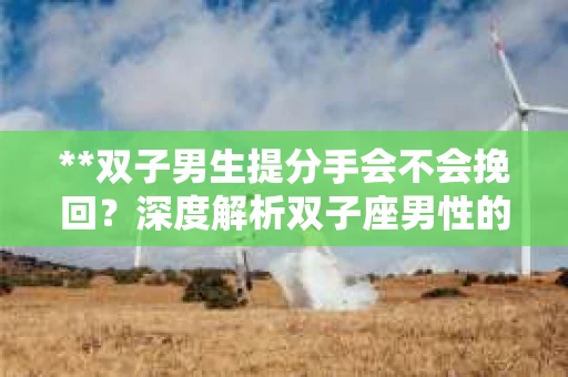 **双子男生提分手会不会挽回？深度解析双子座男性的情感决策**