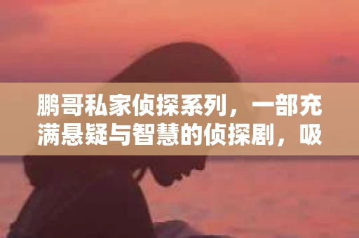 鹏哥私家侦探系列，一部充满悬疑与智慧的侦探剧，吸引了无数观众的眼球。今天，就让我带你走进这个充满神秘色彩的侦探世界，一起在线观看鹏哥私家侦探系列，感受那扣人心弦的故事情节。