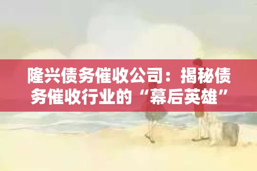 隆兴债务催收公司：揭秘债务催收行业的“幕后英雄”