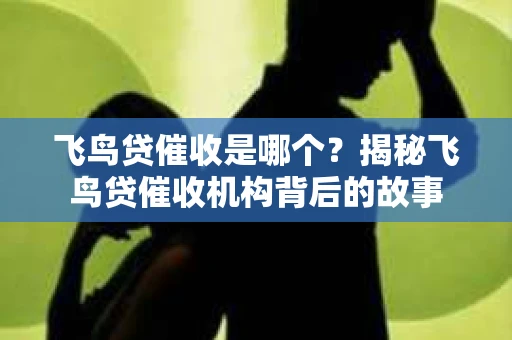 飞鸟贷催收是哪个？揭秘飞鸟贷催收机构背后的故事