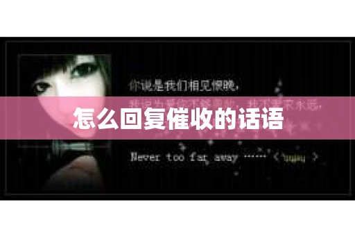 怎么回复催收的话语