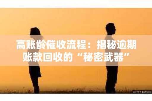 高账龄催收流程：揭秘逾期账款回收的“秘密武器”