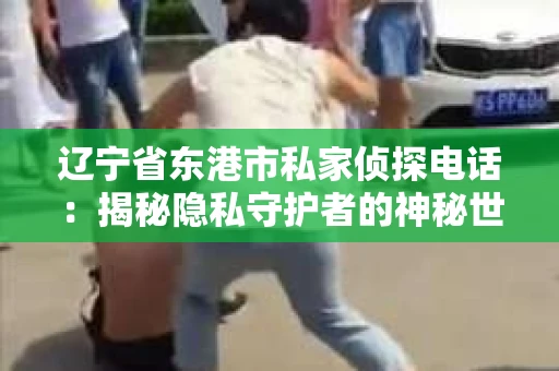 辽宁省东港市私家侦探电话：揭秘隐私守护者的神秘世界