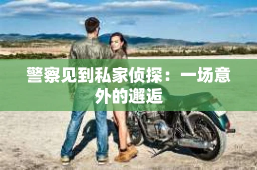 警察见到私家侦探：一场意外的邂逅