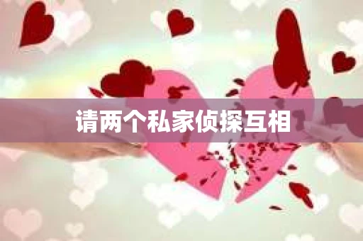 请两个私家侦探互相