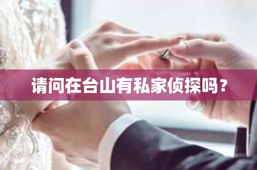 请问在台山有私家侦探吗？