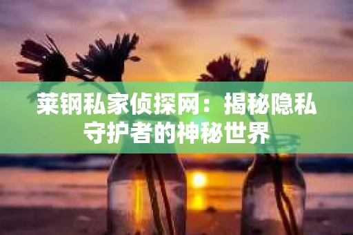 莱钢私家侦探网：揭秘隐私守护者的神秘世界