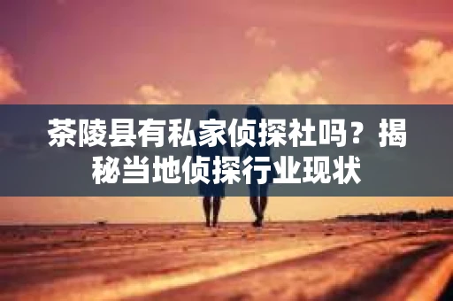 茶陵县有私家侦探社吗？揭秘当地侦探行业现状