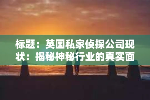 标题:英国私家侦探公司现状:揭秘神秘行业的真实面貌 标题:英国私家侦探公司现状:揭秘神秘行业的真实面貌