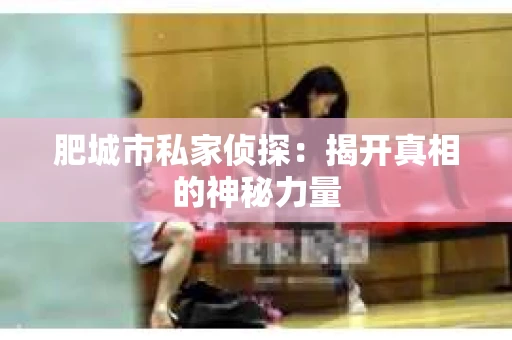 肥城市私家侦探：揭开真相的神秘力量