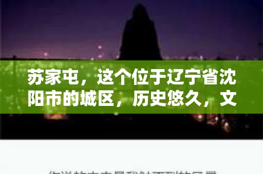 苏家屯，这个位于辽宁省沈阳市的城区，历史悠久，文化底蕴深厚。近年来，随着社会的发展，人们对于私家侦探的需求也逐渐增加。那么，苏家屯有私家侦探吗？今天，我们就来聊聊这个话题。