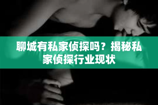 聊城有私家侦探吗？揭秘私家侦探行业现状
