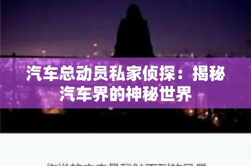 汽车总动员私家侦探：揭秘汽车界的神秘世界