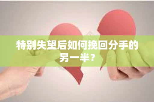 特别失望后如何挽回分手的另一半？