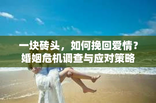 一块砖头，如何挽回爱情？婚姻危机调查与应对策略