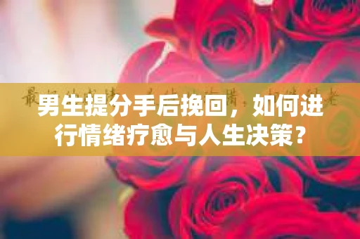 男生提分手后挽回，如何进行情绪疗愈与人生决策？