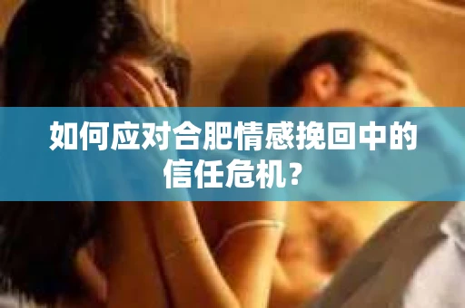 如何应对合肥情感挽回中的信任危机？