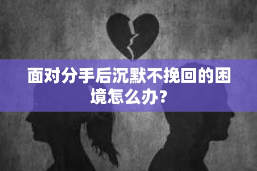 面对分手后沉默不挽回的困境怎么办? 面对分手后沉默不挽回的困境怎么办?