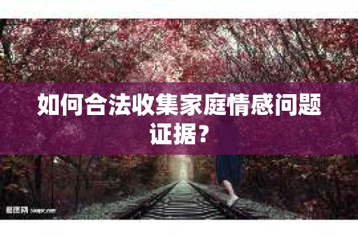 如何合法收集家庭情感问题证据？
