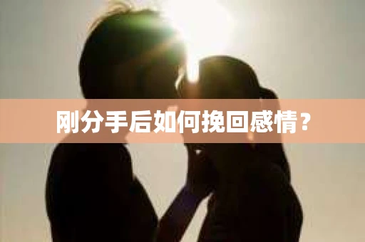 刚分手后如何挽回感情？